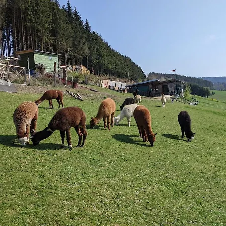 Grosse In Hildfeld Διαμέρισμα Βίντερμπεργκ