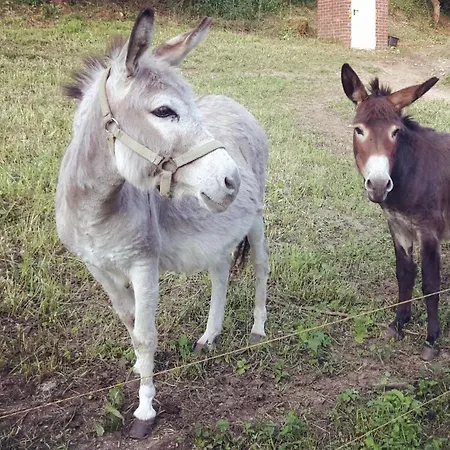 Grosse In Hildfeld * Βίντερμπεργκ