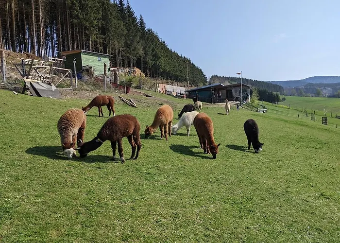 Grosse In Hildfeld 公寓 温特贝格