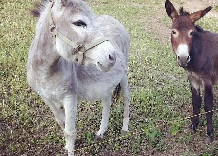 Grosse In Hildfeld * Winterberg